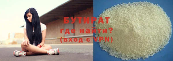 сатива Бородино