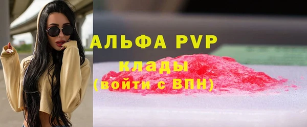 сатива Бородино
