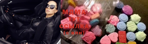 сатива Бородино