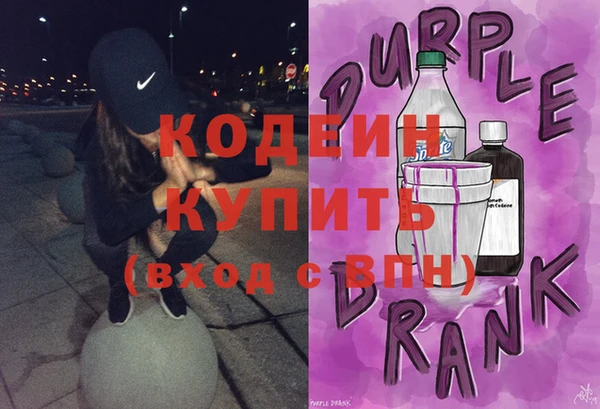 сатива Бородино