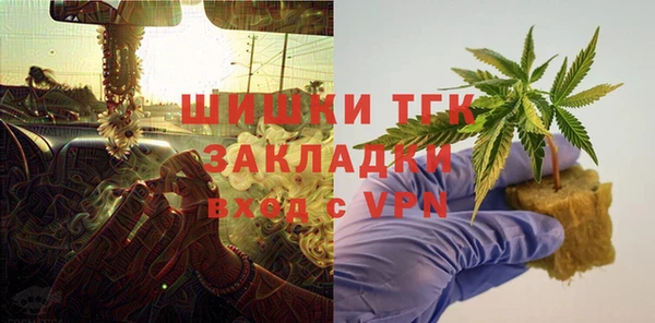 сатива Бородино