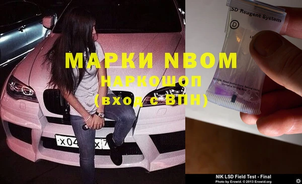 стаф Бугульма
