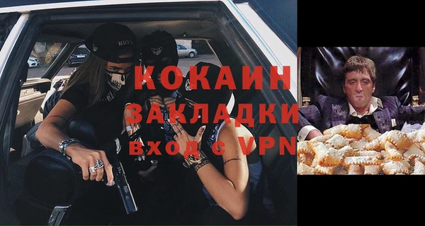 сатива Бородино