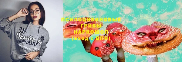 стаф Бугульма