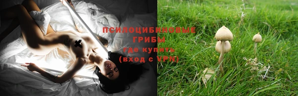 не бодяженный Бронницы