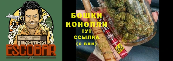 стаф Бугульма