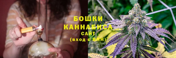 сатива Бородино